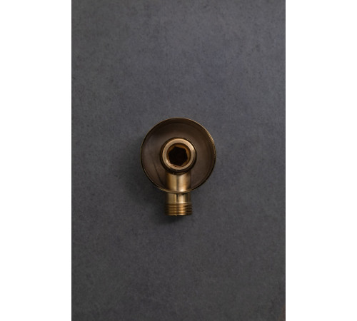 Шланговое подключение Allen Brau Priority 5.31A15-GB золото