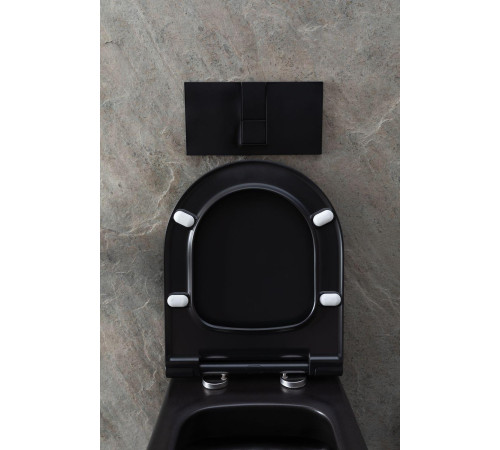 Чаша подвесного унитаза Allen Brau Priority 4.31002.31 черный матовый