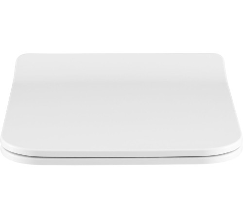 Сиденье для унитаза Allen Brau Liberty 4.33008.21 белый матовый