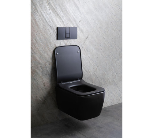Чаша подвесного унитаза Allen Brau Liberty 4.33007.31 черный матовый