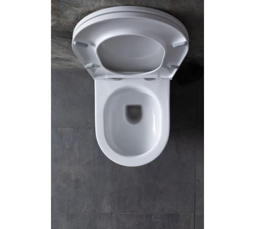 Унитаз с инсталляцией Allen Brau Reality 4.32006.20/8.9466.0.000.000.1 белый глянец