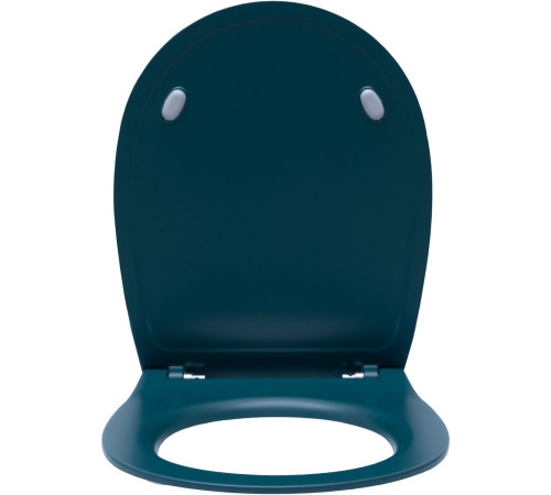 Крышка-сиденье для унитаза Allen Brau Fantasy Soft-Close 4.11005.PT петроль