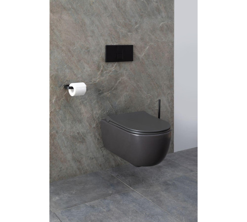 Чаша подвесного унитаза Allen Brau Priority 4.31001.AN антрацит