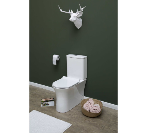 Чаша напольного унитаза Aquanet Rimless Roll-C CL-12249B