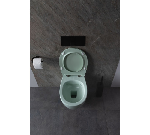 Чаша подвесного унитаза Allen Brau Fantasy 4.11004.MT мятный