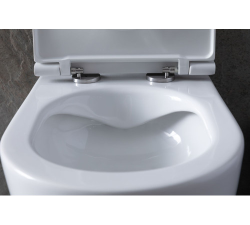 Чаша подвесного унитаза Allen Brau Reality 4.32006.20 белый глянец