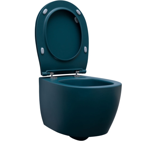 Чаша подвесного унитаза Allen Brau Fantasy 4.11004.PT петроль