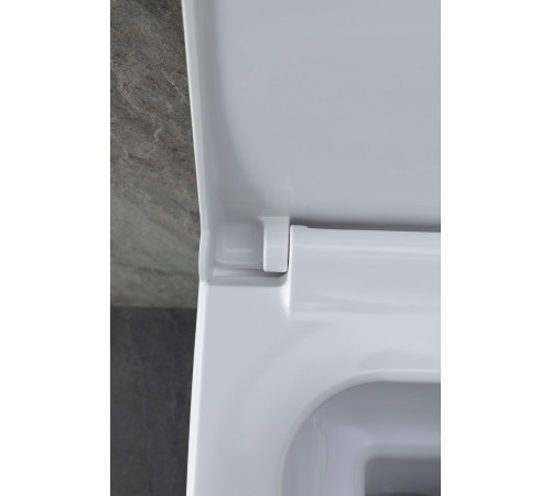 Чаша подвесного унитаза Allen Brau Infinity 4.21011.20 белый глянец