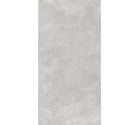 Керамогранит Про Стоун DD503820R Светло-серый матовый 60х119.5