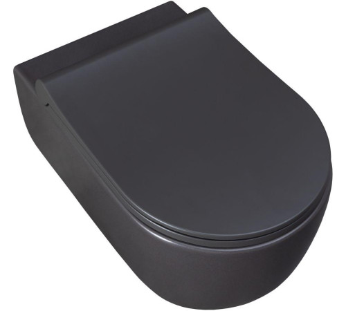 Чаша подвесного унитаза Allen Brau Priority 4.31001.AN антрацит