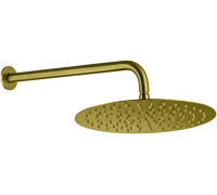 Верхний душ Allen Brau Priority 5.31A17-GB золото