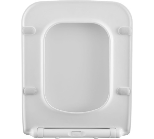 Сиденье для унитаза Allen Brau Liberty 4.33008.20 белый