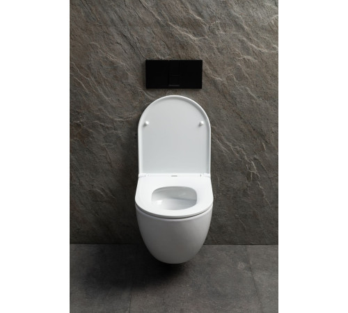 Чаша подвесного унитаза Allen Brau Priority Tornado 4.31009.20 белый глянец