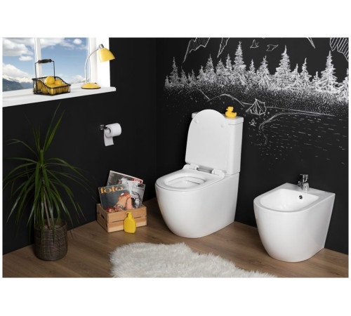 Сливной бачок Aquanet Cetus-C2 BL-102N-TPT