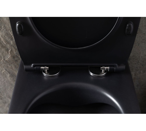 Чаша подвесного унитаза Allen Brau Reality 4.32006.31 черный матовый