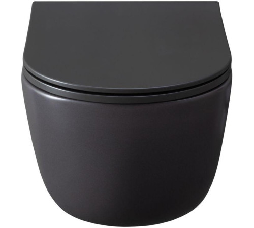 Чаша подвесного унитаза Allen Brau Priority 4.31002.AN антрацит