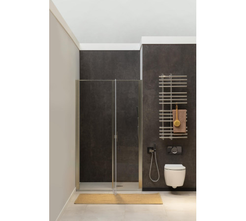 Душевая дверь Allen Brau Priority 90 3.31026.BA серебро браш