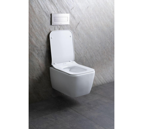 Чаша подвесного унитаза Allen Brau Liberty 4.33007.21 белый матовый