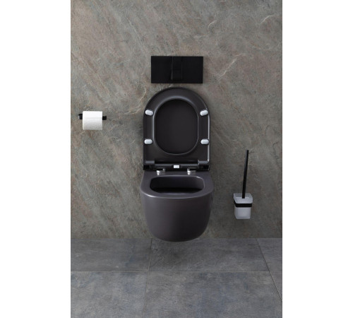 Чаша подвесного унитаза Allen Brau Priority 4.31002.AN антрацит