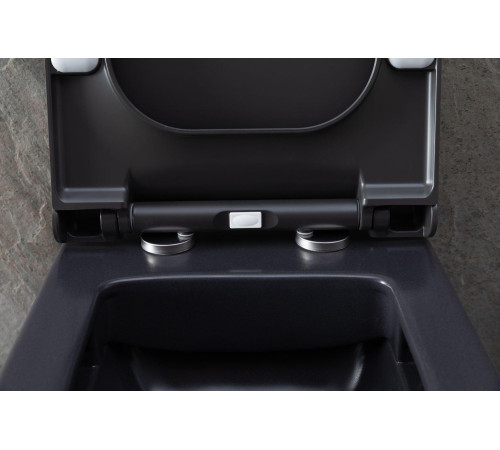 Чаша подвесного унитаза Allen Brau Infinity 4.21011.AN антрацит