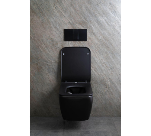 Чаша подвесного унитаза Allen Brau Liberty 4.33007.31 черный матовый