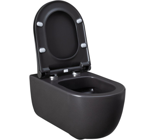 Чаша подвесного унитаза Allen Brau Priority 4.31001.AN антрацит