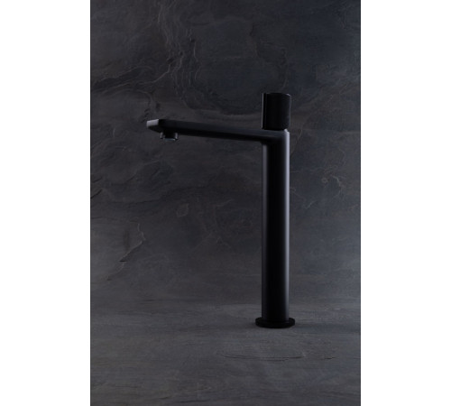 Смеситель для раковины Allen Brau Liberty 5.33002-31 черный матовый