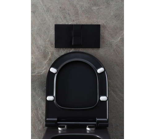 Чаша подвесного унитаза Allen Brau Priority 4.31001.31 черный матовый