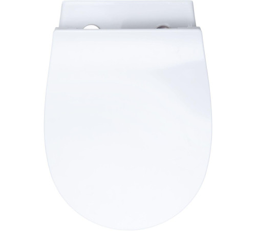 Чаша подвесного унитаза Allen Brau Fantasy 4.11004.20 белый глянец