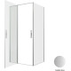 Душевой уголок Allen Brau Priority 100x80 3.31029.BA + 3.31041.BA серебро браш