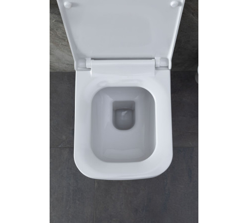 Унитаз с инсталляцией Allen Brau Infinity 4.21011.20/8.9466.0.000.000.1 белый глянец