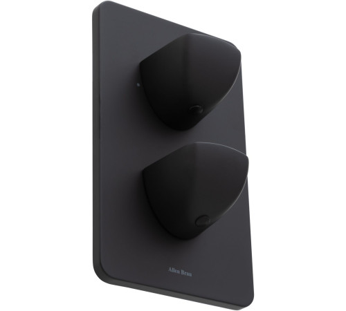 Смеситель для ванны Allen Brau Infinity 5.21216-31 (с внутренней частью, 2 выхода) черный матовый