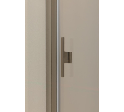 Душевая дверь Allen Brau Priority 100 3.31029.BA серебро браш