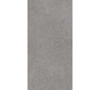 Керамогранит Роверелла DL501220R Пепельный матовый 60х119.5