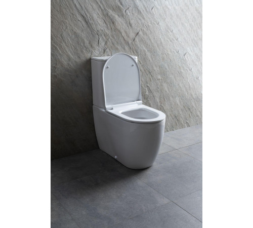 Чаша напольного унитаза Allen Brau Priority 4.31003.20 белый