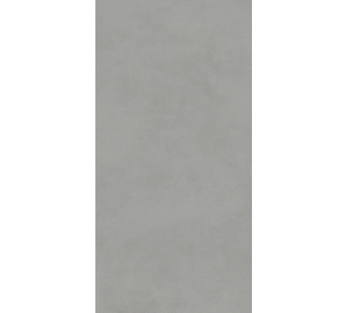 Керамогранит Про Чементо DD504620R Серый матовый 60х119.5