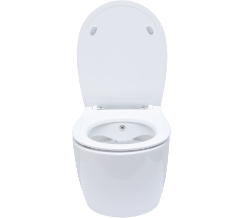 Крышка-сиденье для унитаза Allen Brau Fantasy Smartfix, Soft-Close 4.11005.20 белый глянец