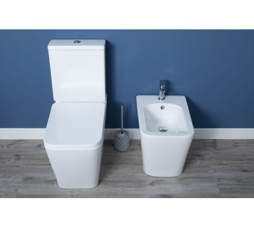 Биде напольное Aquanet Tavr 2.0 B1 LX-1062