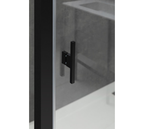 Душевой уголок Allen Brau Priority 120x80 3.31033.BBA + 3.31042.BBA черный браш