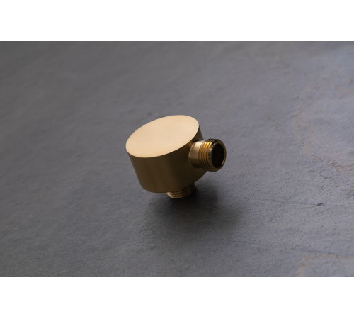 Шланговое подключение Allen Brau Priority 5.31A15-GB золото