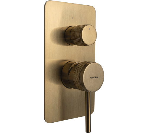Смеситель для ванны Allen Brau Priority 5.31011-GB (с внутренней частью, 2 выхода) золото