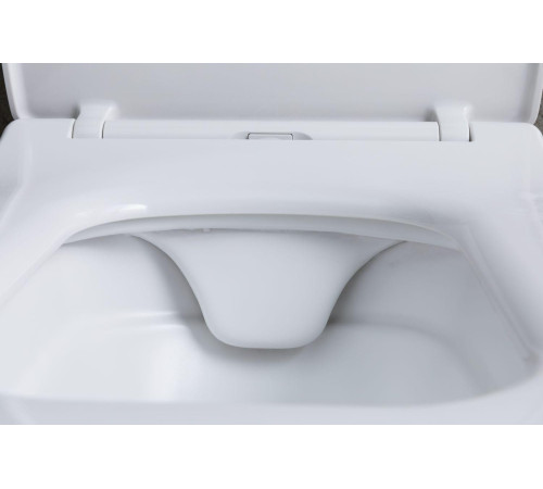 Чаша подвесного унитаза Allen Brau Liberty 4.33007.21 белый матовый