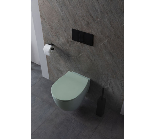 Чаша подвесного унитаза Allen Brau Fantasy 4.11004.MT мятный