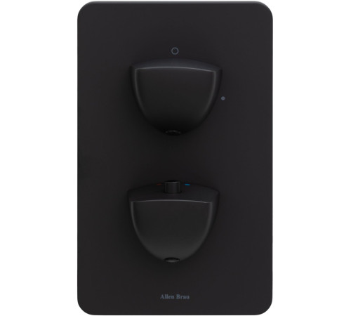 Смеситель для душа Allen Brau Infinity 5.21116-31 (с внутренней частью, 1 выход) черный матовый