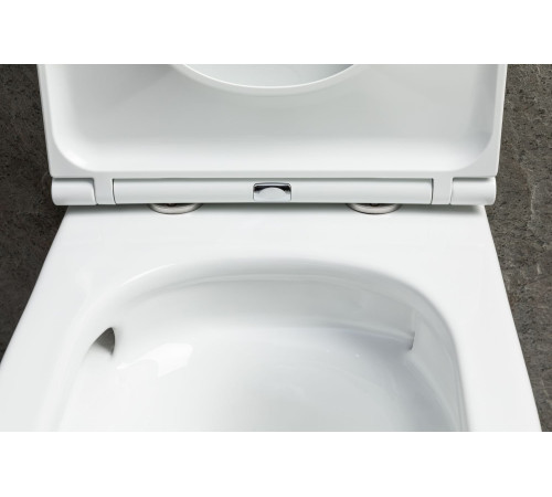 Чаша подвесного унитаза Allen Brau Priority Tornado 4.31008.20 белый глянец