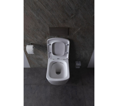 Крышка-сиденье для унитаза Allen Brau Liberty 4.33006.20 белый глянец