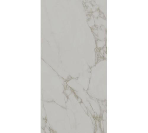 Керамогранит Монте Тиберио SG540722R Светло-серый лаппатированный 60х119.5