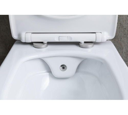 Чаша подвесного унитаза Allen Brau Liberty 4.33009.20 белый