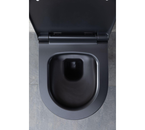 Чаша подвесного унитаза Allen Brau Priority 4.31001.31 черный матовый