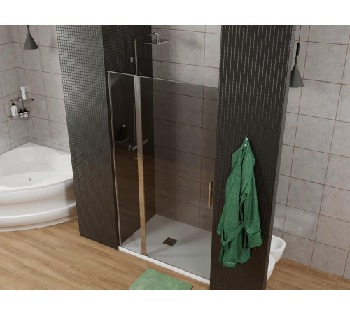 Душевая дверь Allen Brau Priority 120 3.31007.00G хром